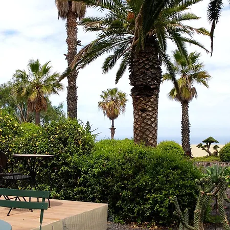 El Paradiso *