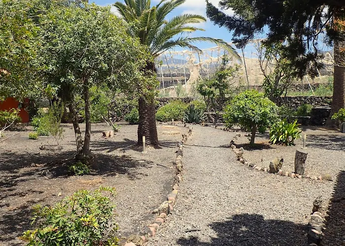 El Paradiso * Tazacorte